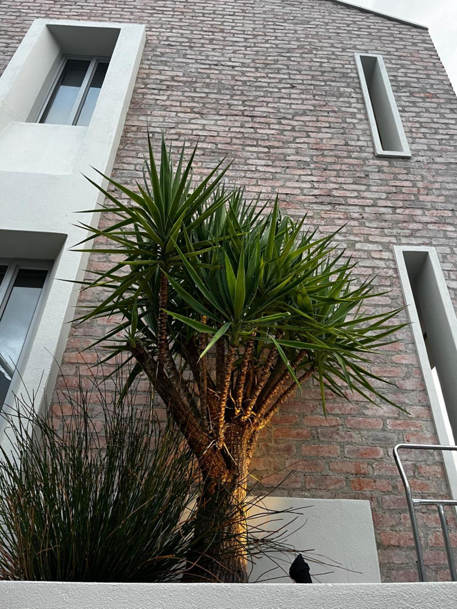 The Windhoek Luxury Suites Exterior foto