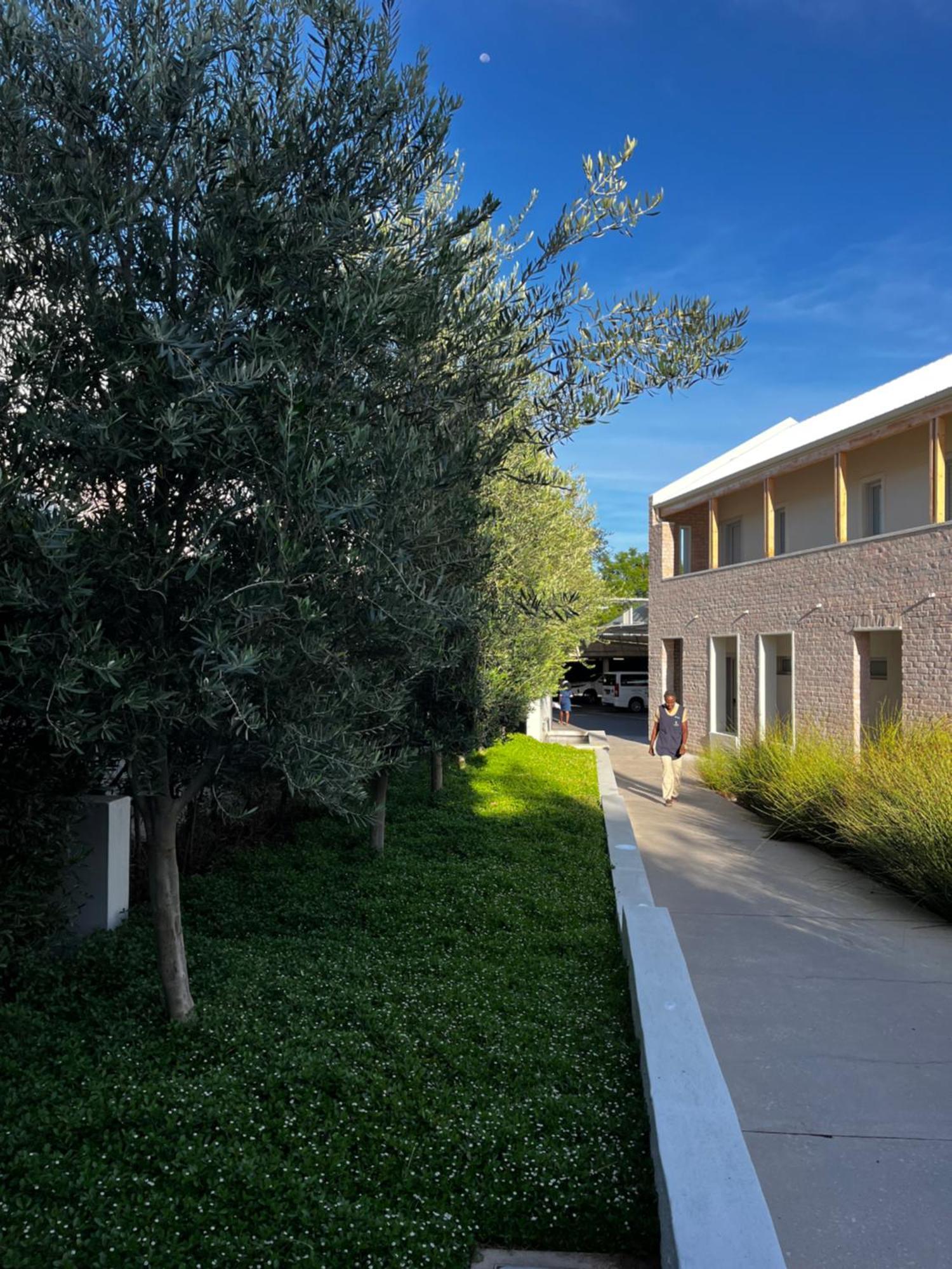 The Windhoek Luxury Suites Exterior foto
