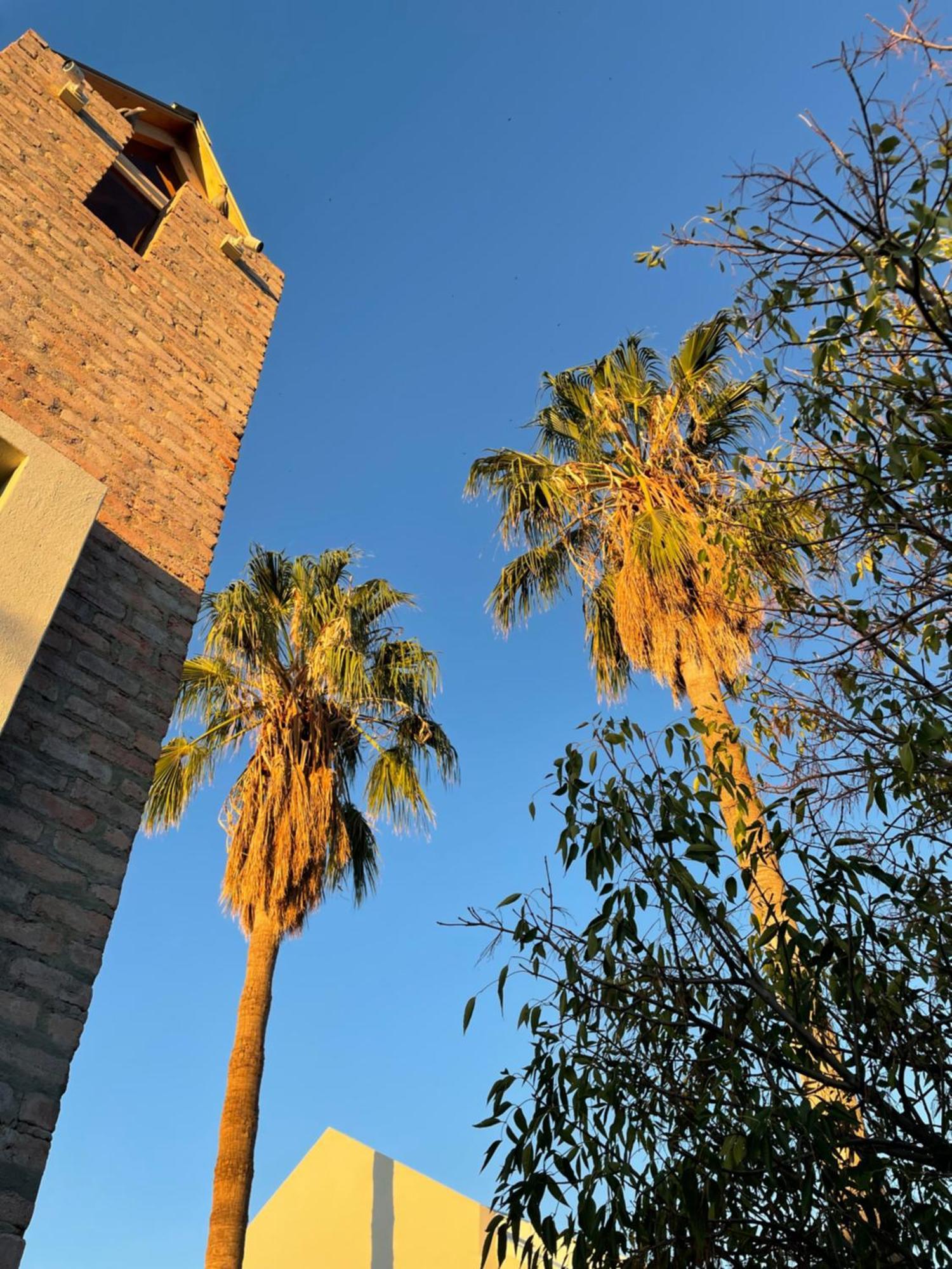 The Windhoek Luxury Suites Exterior foto